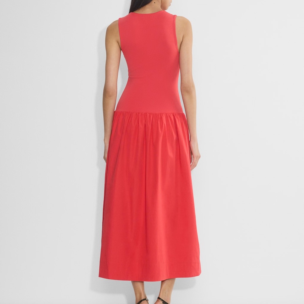Aritzia Worldly Dress